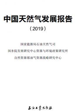 中國(guó)天然氣發(fā)展報(bào)告（2019）