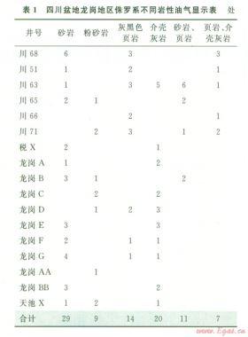 川中地區(qū)侏羅系適合頁(yè)巖油氣藏開(kāi)采的地質(zhì)依據(jù)