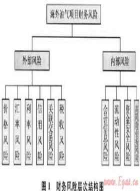 海外油氣項(xiàng)目財(cái)務(wù)風(fēng)險(xiǎn)分析及對策