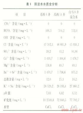 氣田回注系統(tǒng)結(jié)垢機(jī)理及對(duì)策