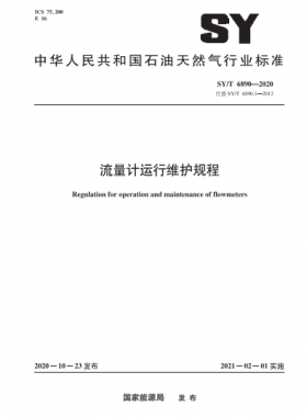 流量計運行維護規(guī)程石油天然氣標(biāo)準(zhǔn)∕T 6890-2020