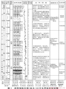 濟陽坳陷中生界烴源巖生烴演化