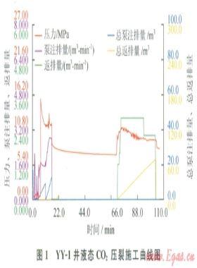陸相頁(yè)巖氣層的CO2壓裂技術(shù)應(yīng)用探討